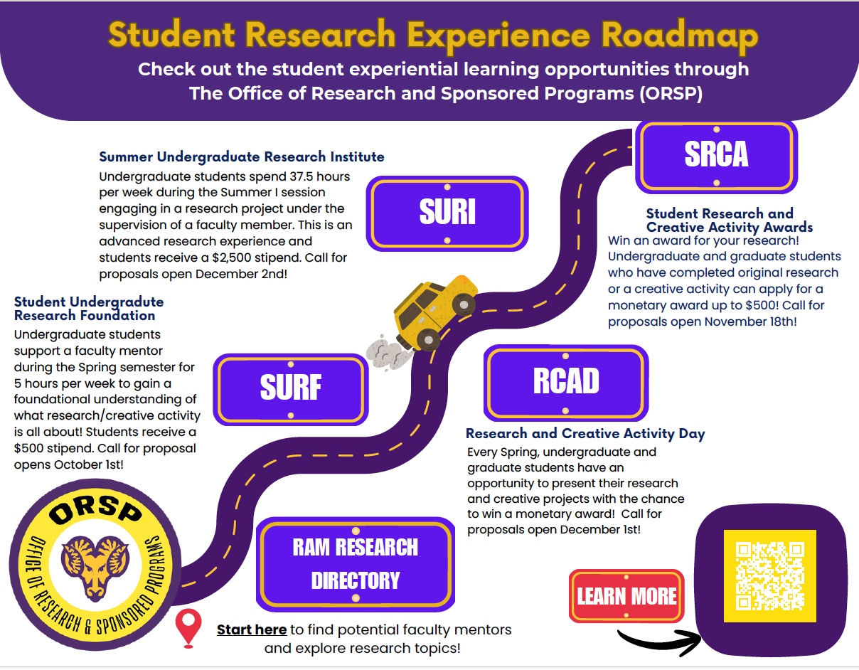Student research roadmap