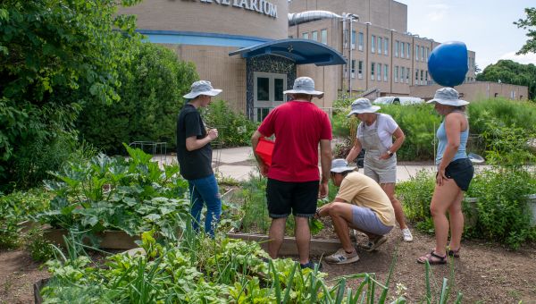 People working in campus garden
