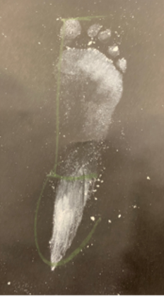 Chalk Footprint
