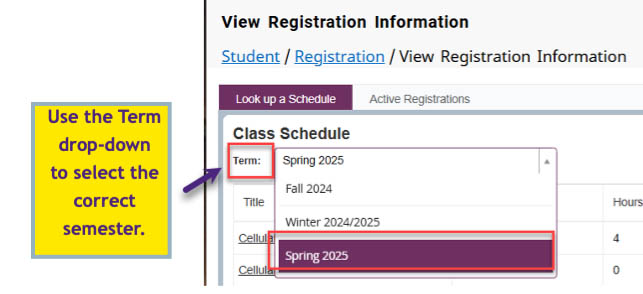 Term drop down