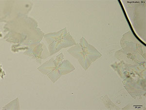 reagent thumbnail 5