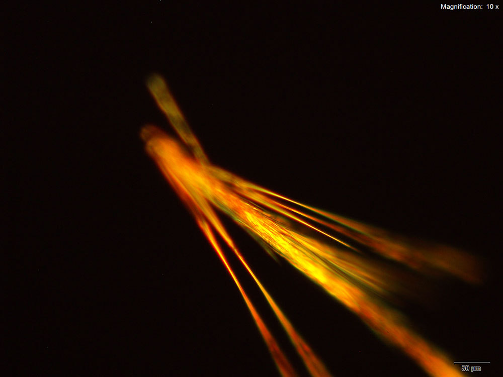 reagent 10